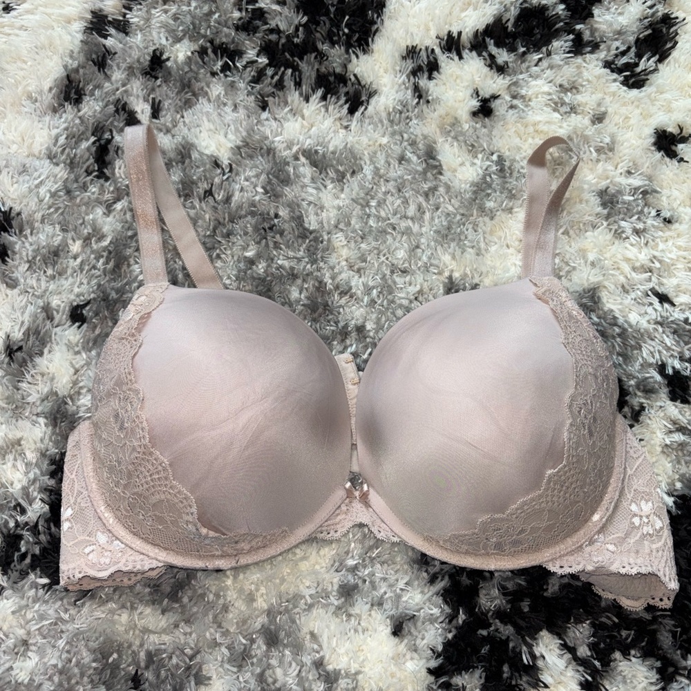 Torrid curves bra